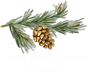Living Springs Ranch